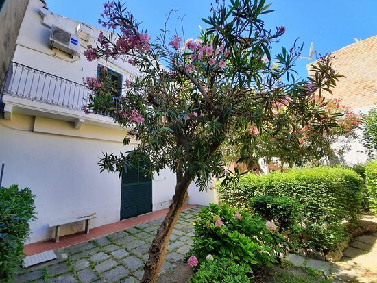 Il Giardino Nascosto